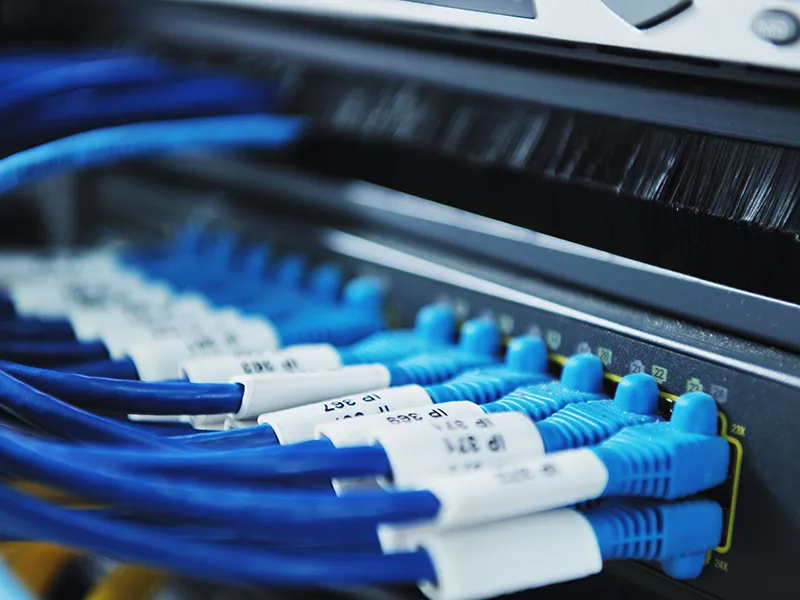 Wire Harness Processing